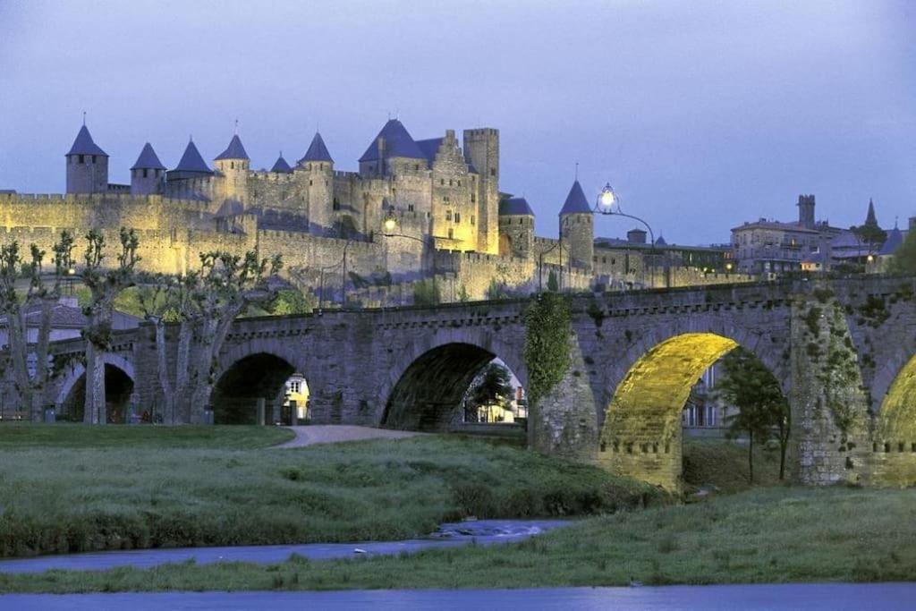 Maison Sur Les Hauteurs De Carcassonne Ngoại thất bức ảnh